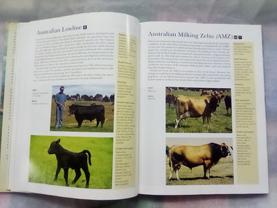 The NZ Guide to Cattle Breeds by Graham Meadows