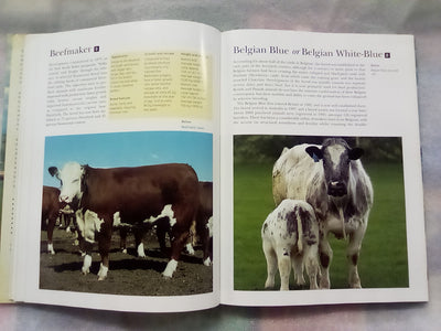 The NZ Guide to Cattle Breeds by Graham Meadows