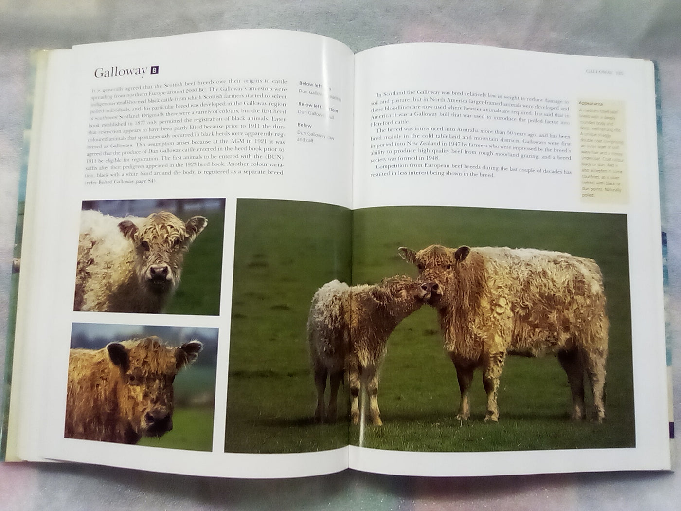 The NZ Guide to Cattle Breeds by Graham Meadows