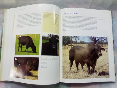 The NZ Guide to Cattle Breeds by Graham Meadows