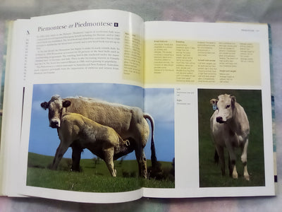 The NZ Guide to Cattle Breeds by Graham Meadows