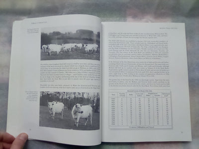 A Breed of Distinction - White Park Cattle: Ancient & Modern