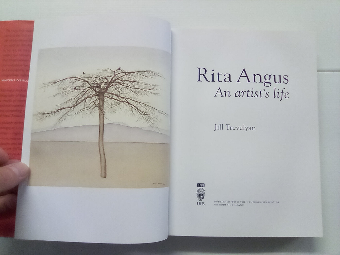 Rita Angus - An Artist's Life by Jill Trevelyan