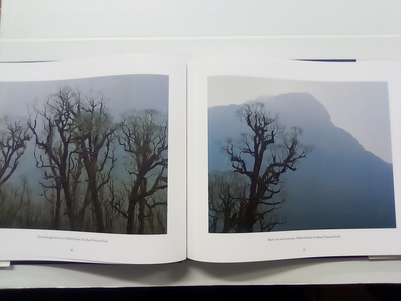 Moment and Memory - Photography in the NZ Landscape by Craig Potton