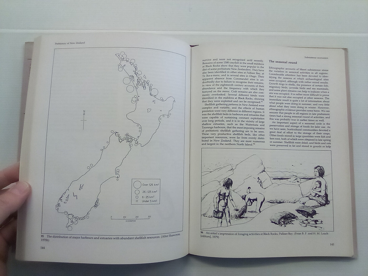 The Prehistory of New Zealand by Janet Davidson