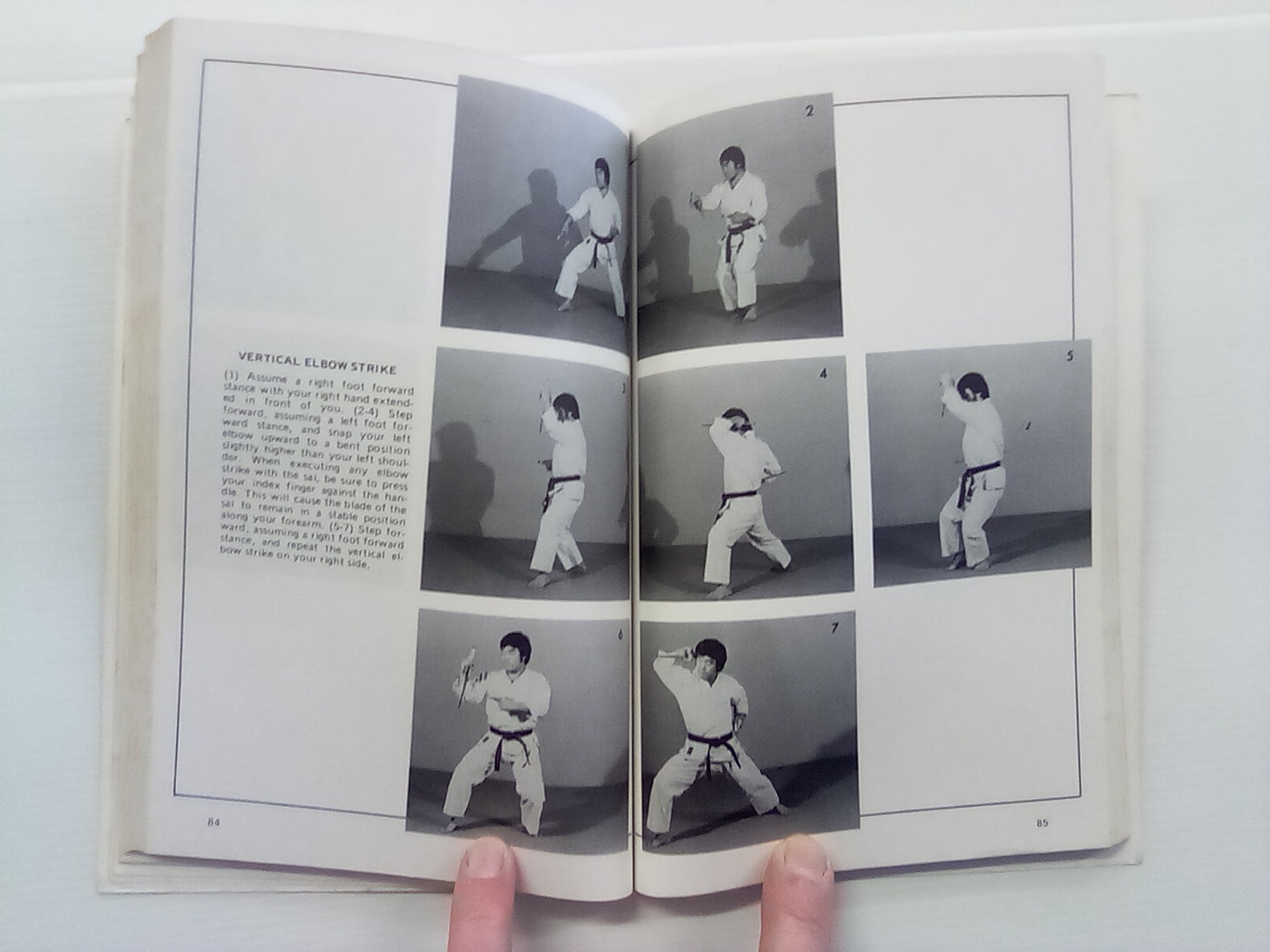 SAI - Karate Weapon of Self-Defense by Fumio Demura