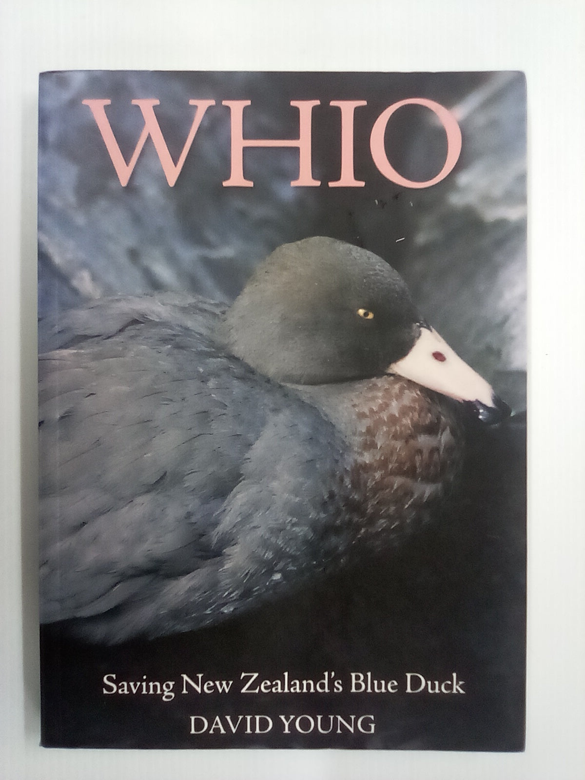 Whio - Saving New Zealand's Blue Duck by David Young