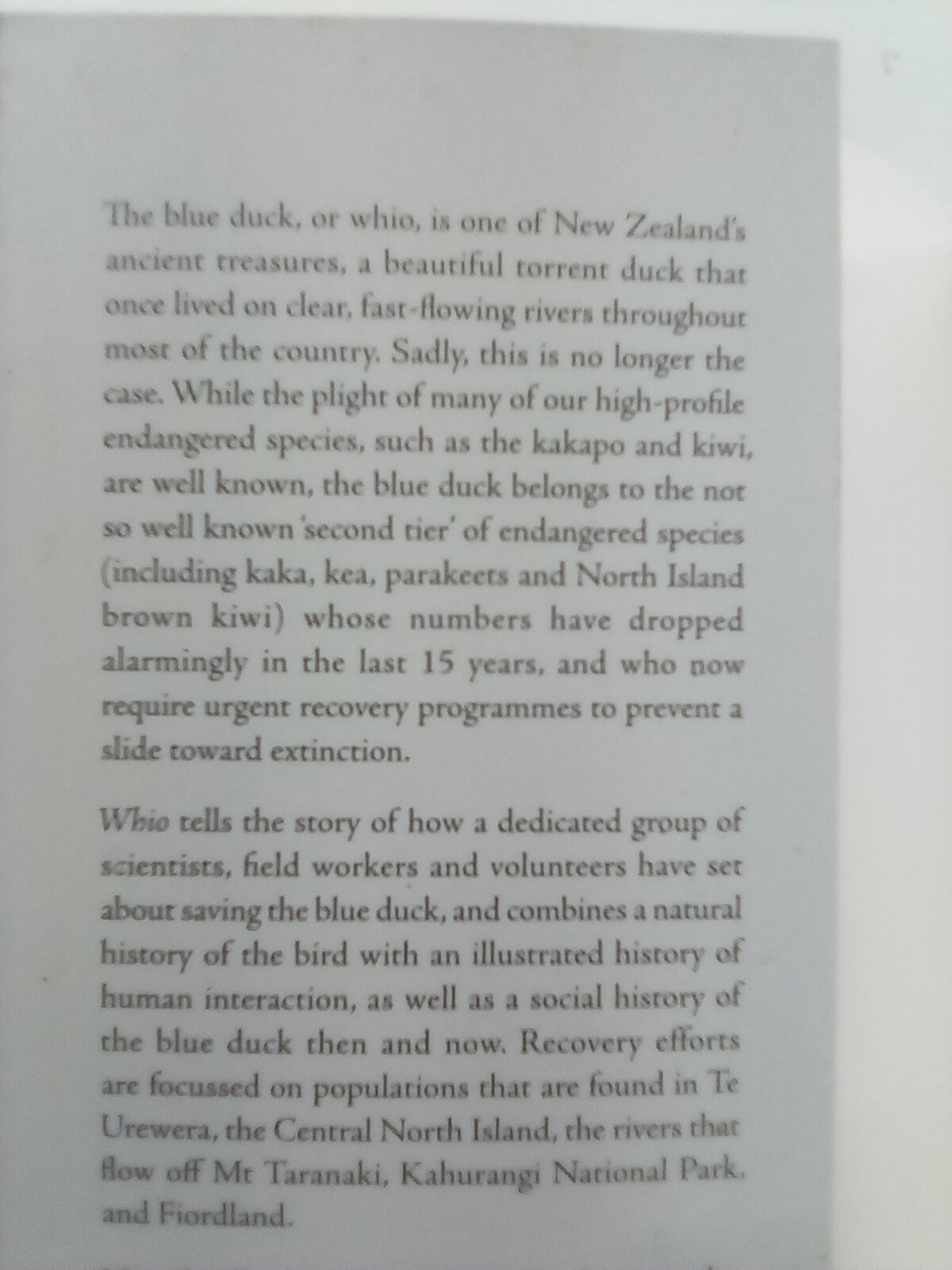 Whio - Saving New Zealand's Blue Duck by David Young