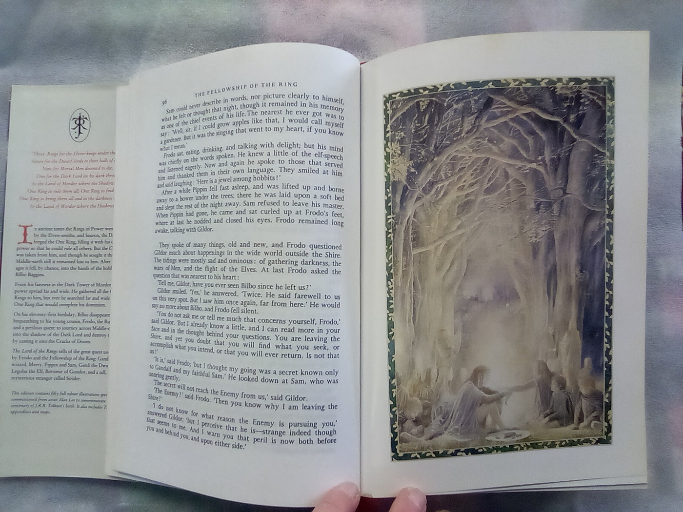 The Lord of the Rings by J.R.R. Tolkien Illustrated by Alan Lee Hardback (1991)