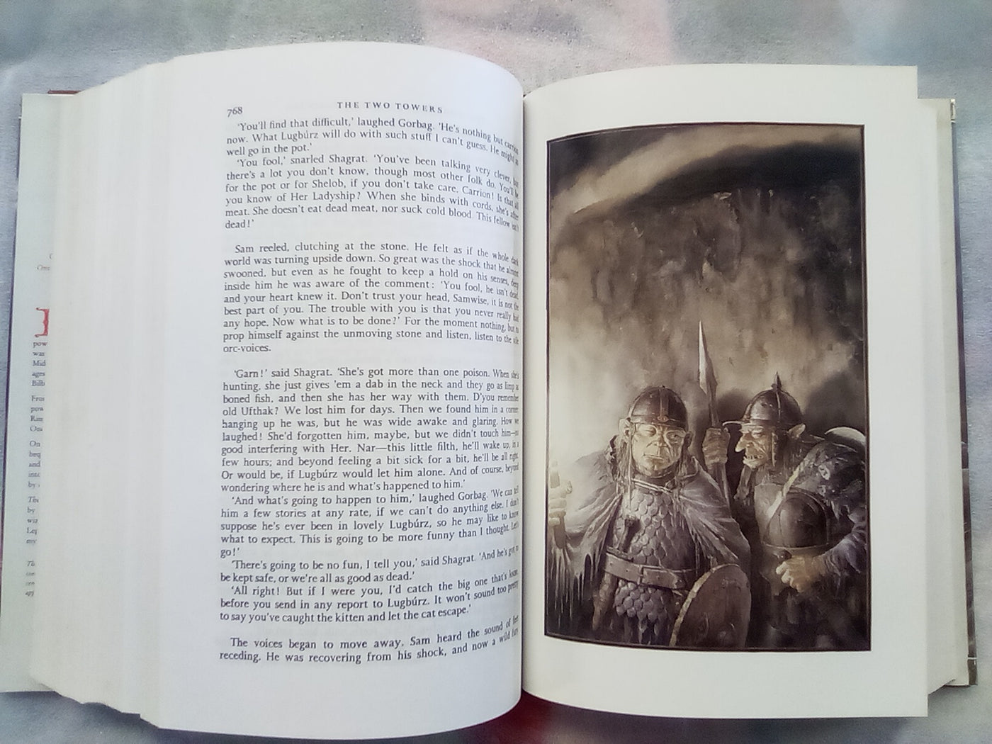 The Lord of the Rings by J.R.R. Tolkien Illustrated by Alan Lee Hardback (1991)