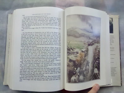 The Lord of the Rings by J.R.R. Tolkien Illustrated by Alan Lee Hardback (1991)