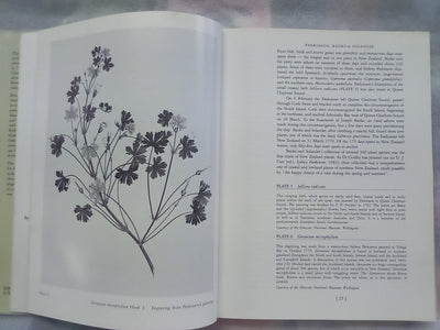 Early New Zealand Botanical Art by F.B. Sampson