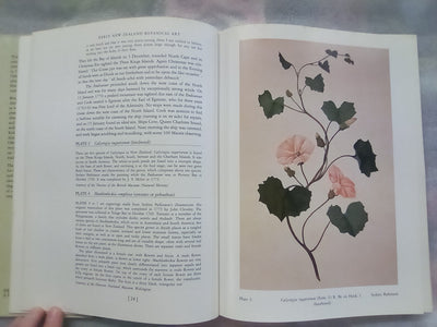 Early New Zealand Botanical Art by F.B. Sampson