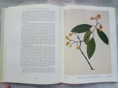 Early New Zealand Botanical Art by F.B. Sampson