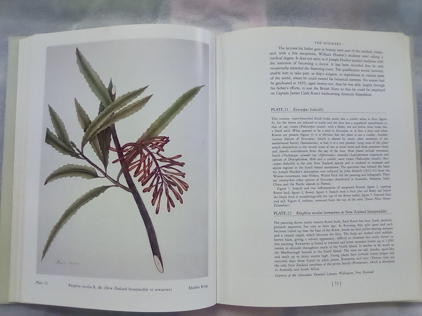 Early New Zealand Botanical Art by F.B. Sampson