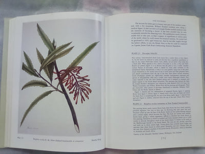 Early New Zealand Botanical Art by F.B. Sampson