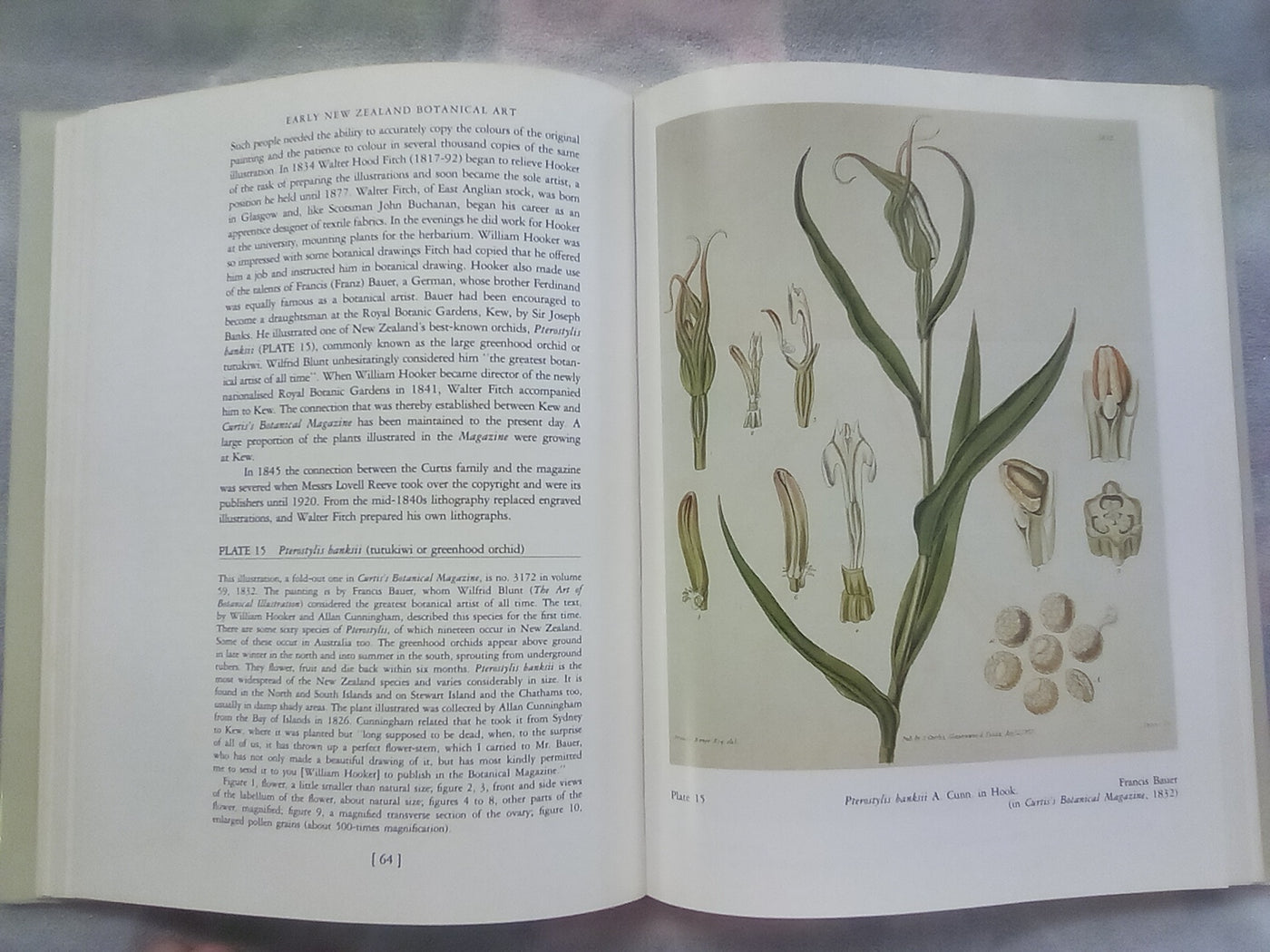 Early New Zealand Botanical Art by F.B. Sampson