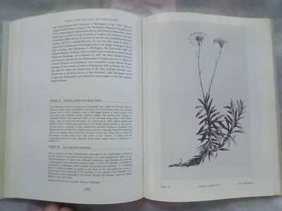 Early New Zealand Botanical Art by F.B. Sampson